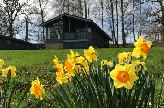 Maple, Loch Monzievaird Holiday Lodges, Crieff, Perthshire Chalet