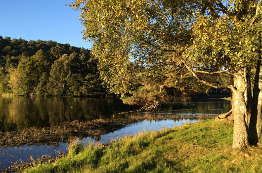 Loch Monzievaird Holiday Lodges, Crieff, Perthshire Loch Monzievaird