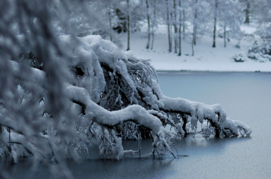 Loch Monzievaird Holiday Lodges, Crieff, Perthshire Winter